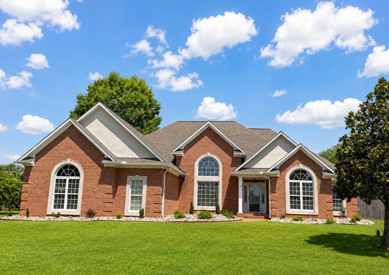 9 Barrymore CV — photo