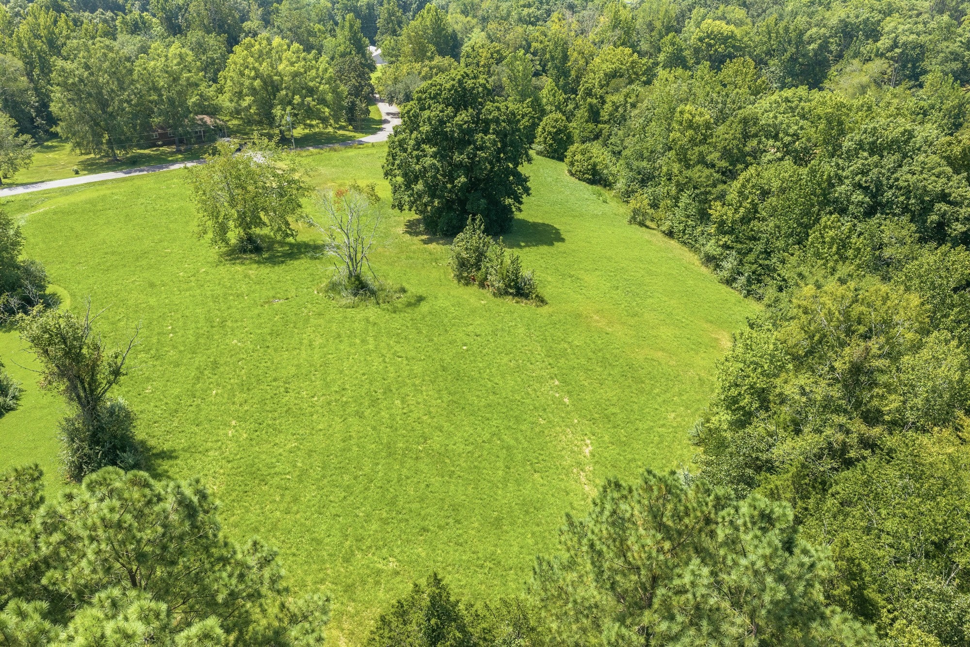 140 Butler Rd, Parsons, TN 38363 — photo 3