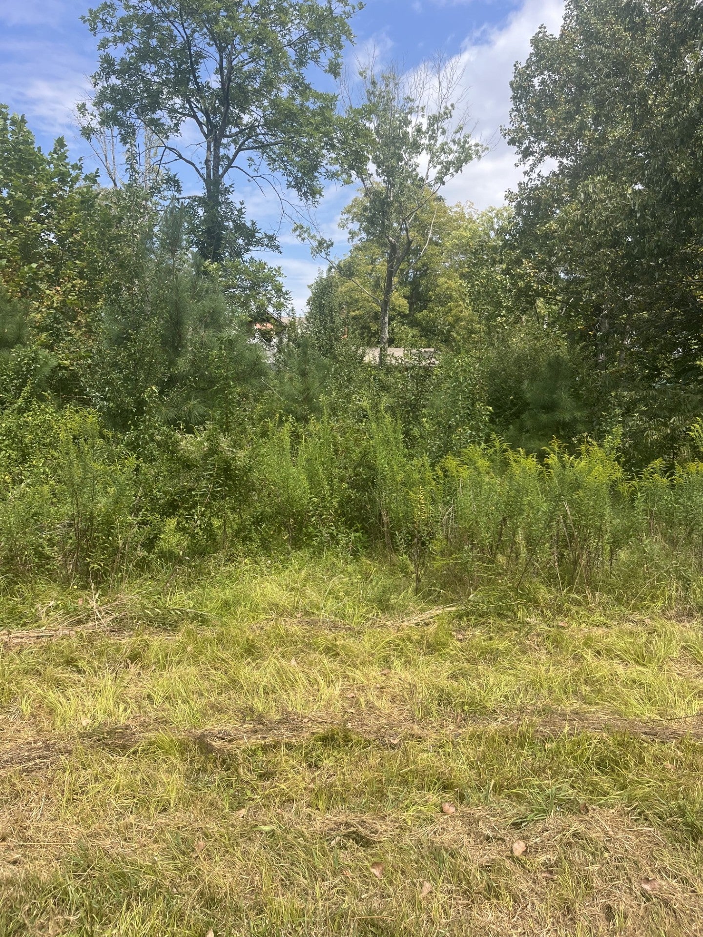 2460 Prospect School Rd NW — photo