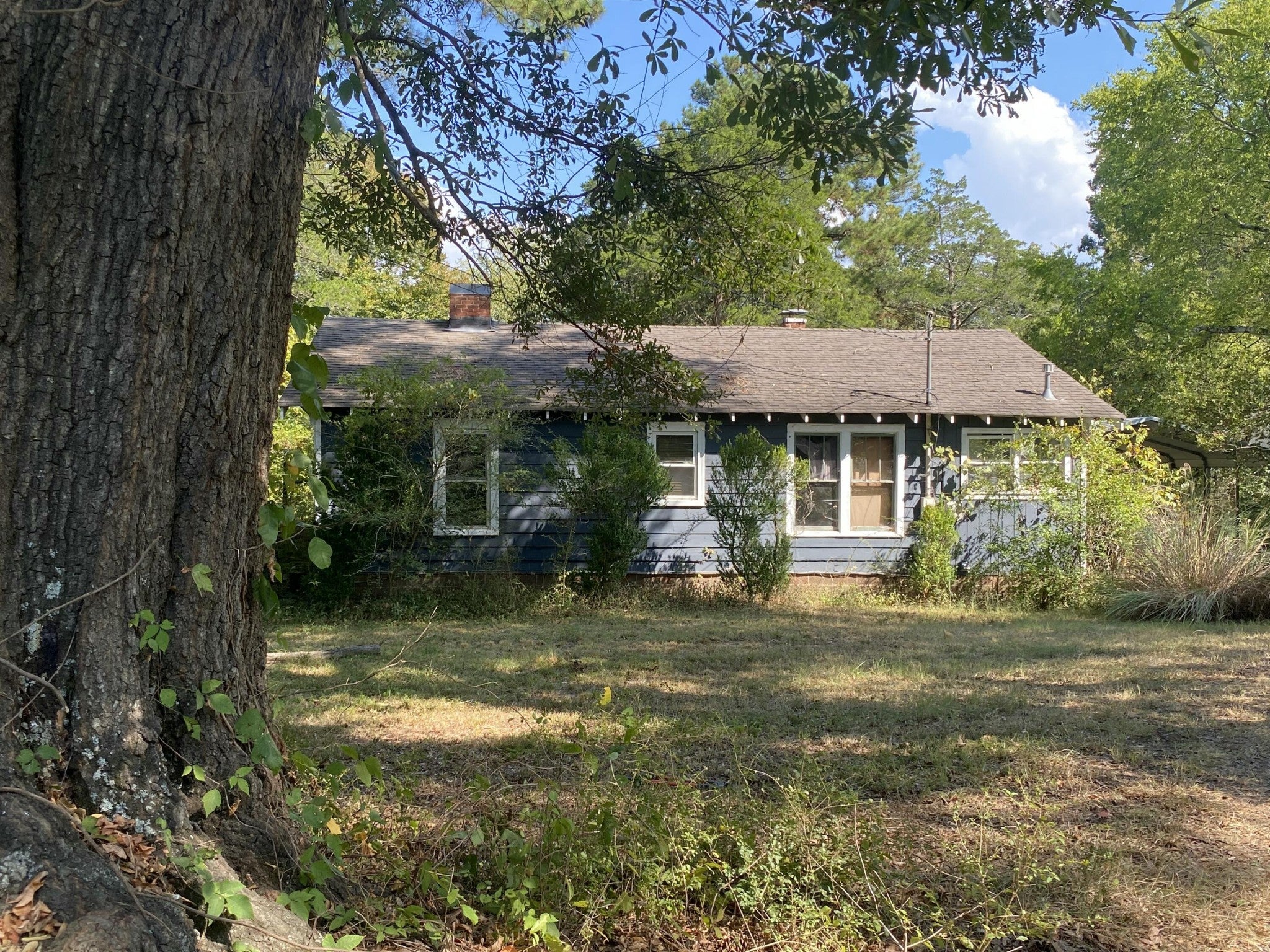 2332 Hamill Road — photo