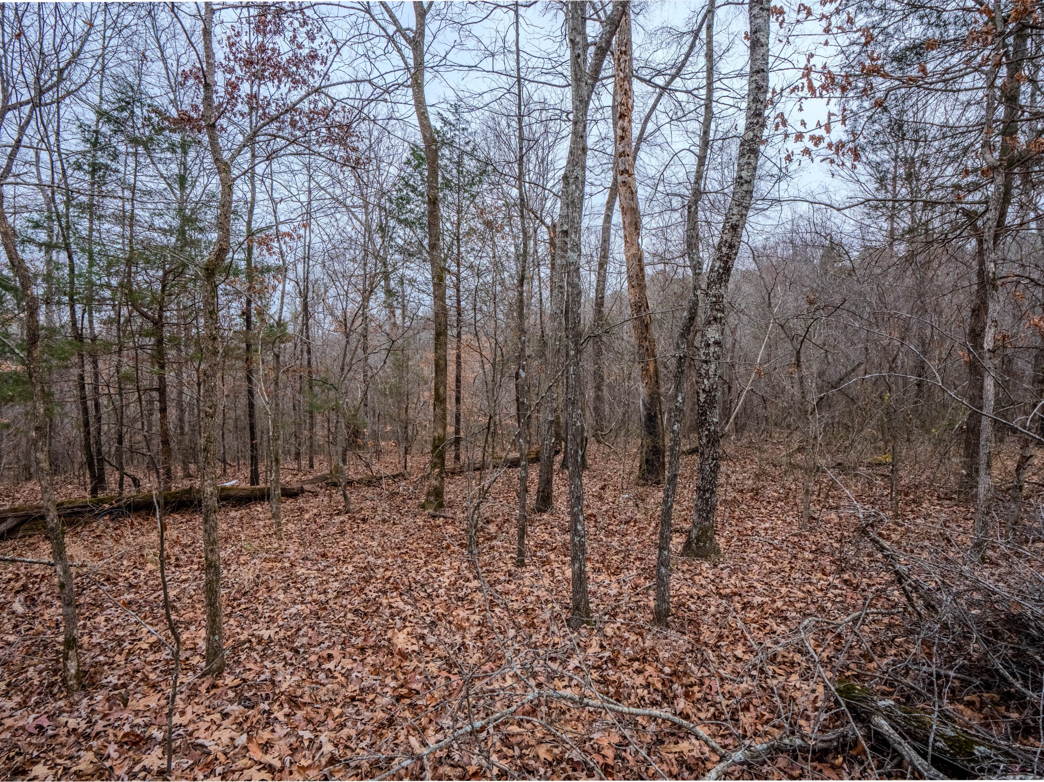 366 Ridge Road, Westpoint, TN 38486 — photo 3