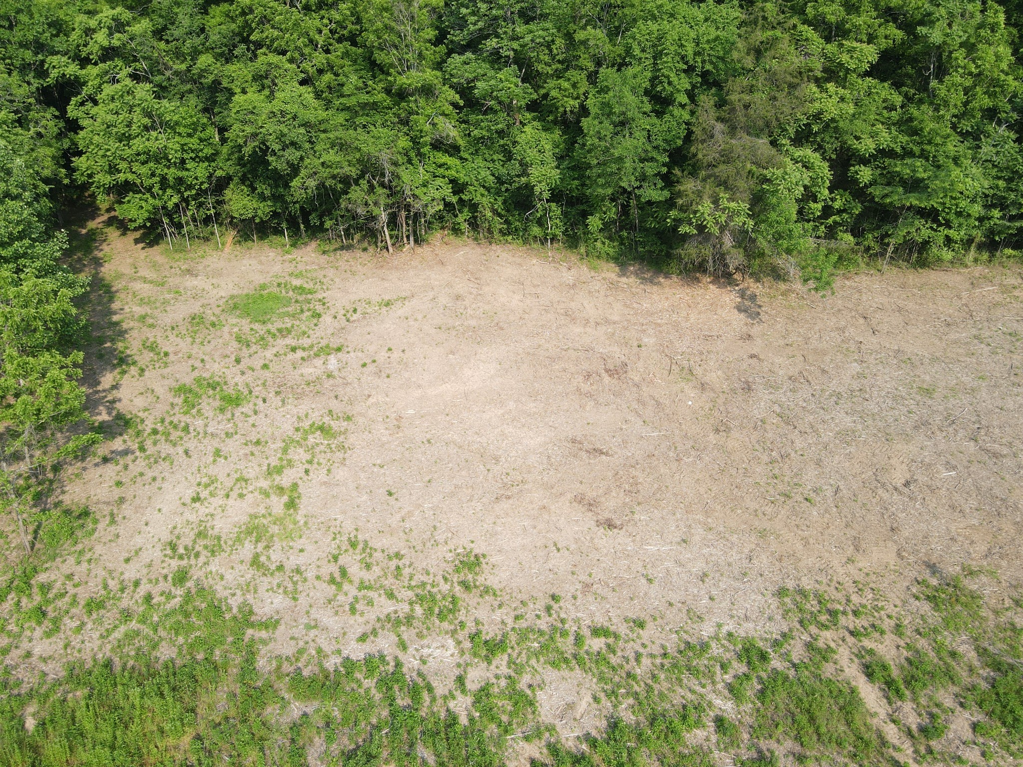 0 Cole Ridge Road, Manchester, TN 37355 — photo 3