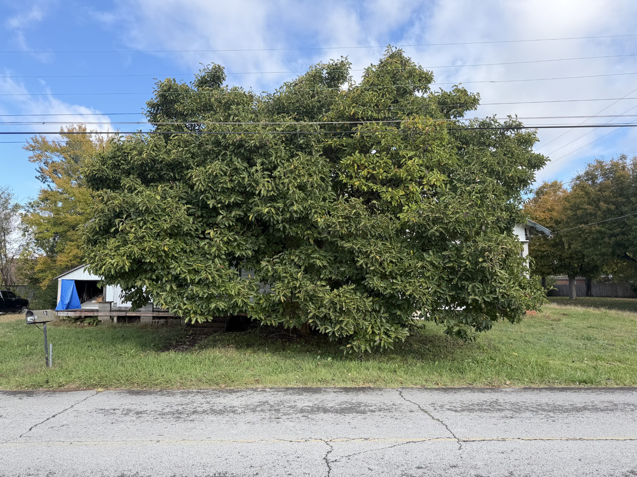 62 High Street E, Mc Ewen, TN 37101 — photo 3