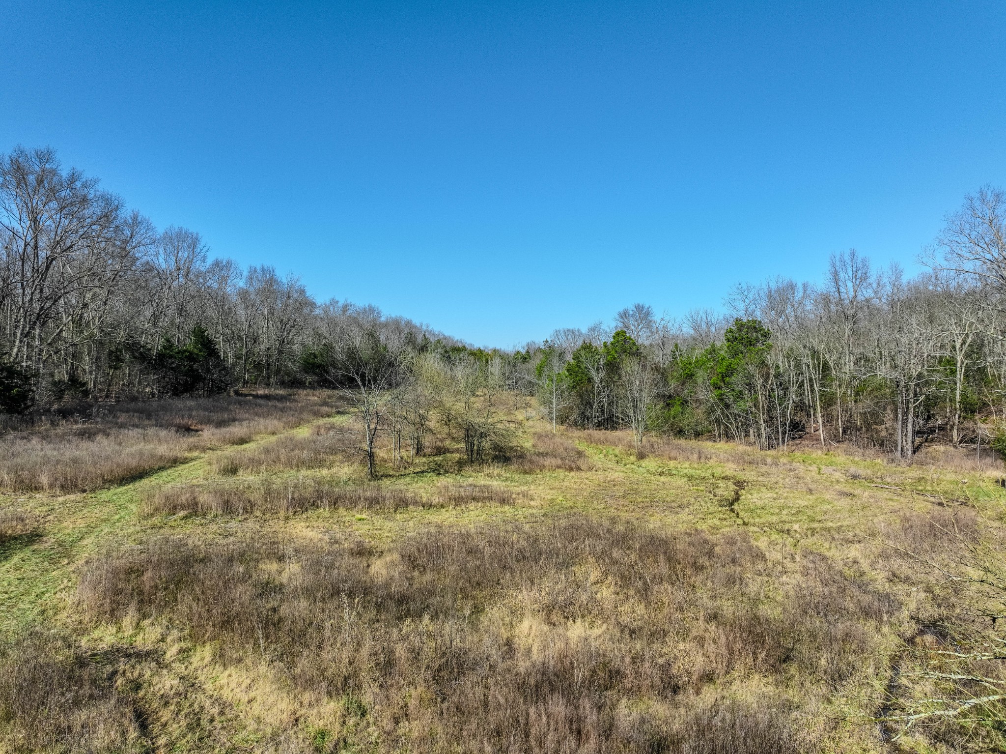 0 Lasea Road, Spring Hill, TN 37174 — photo 2