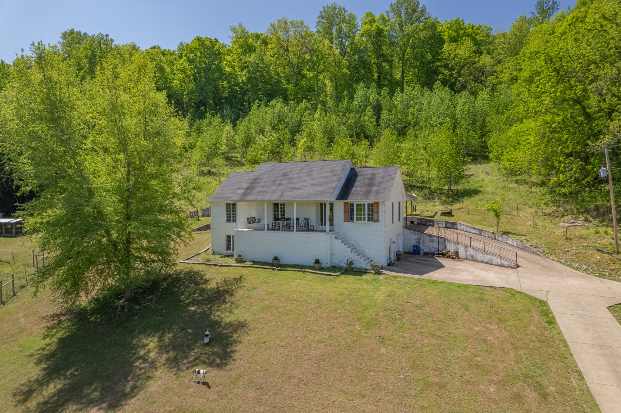 3310 Dog Branch Rd — photo