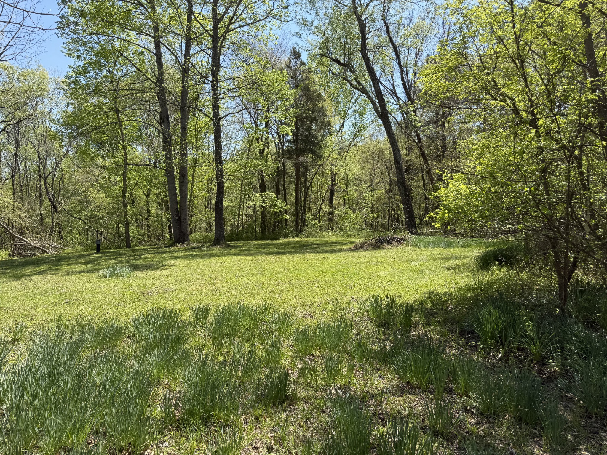534 Whitney Branch Road, Springville, TN 38256 — photo 2