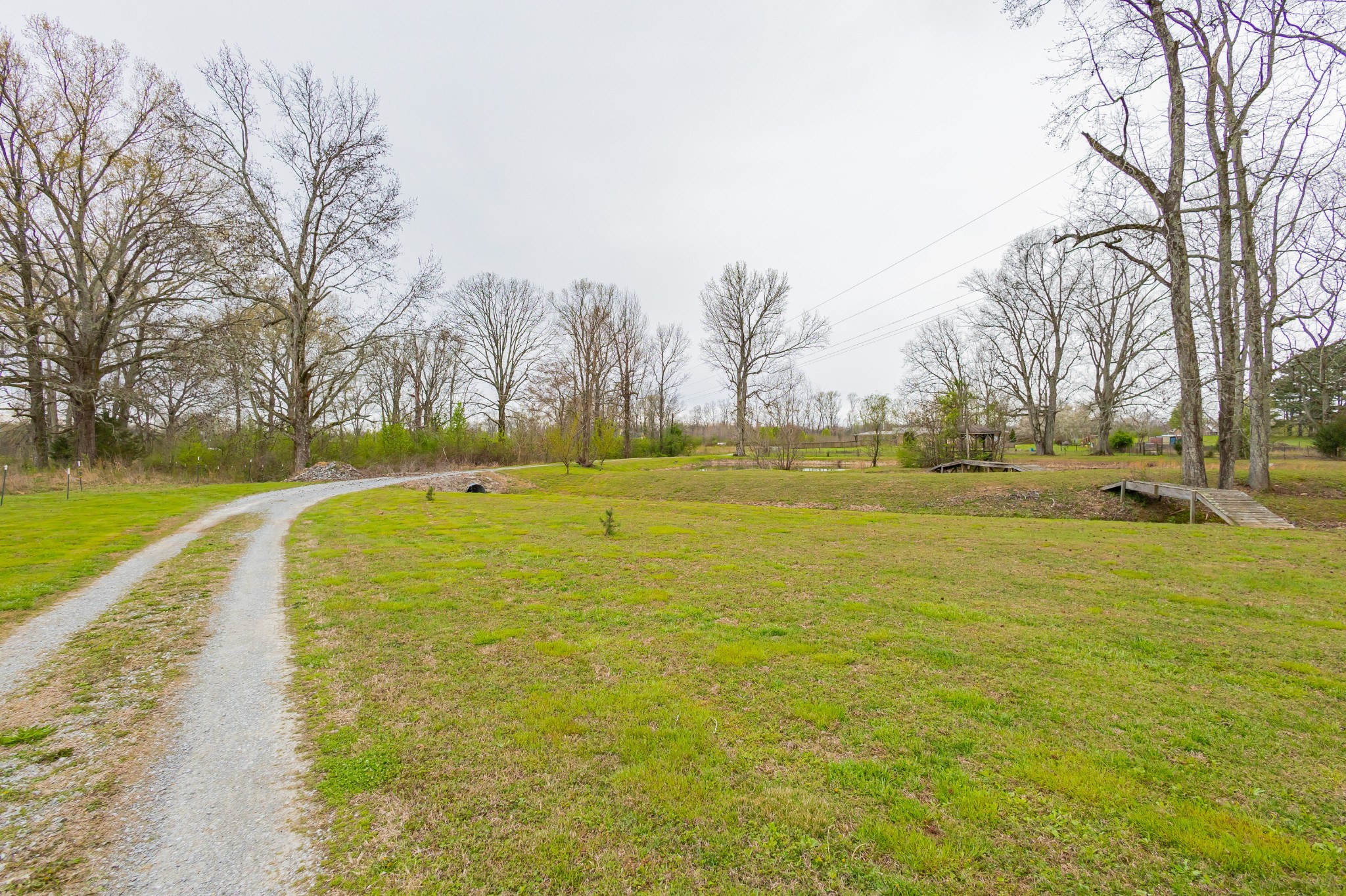 173 Bellview Road, Taft, TN 38488 — photo 3