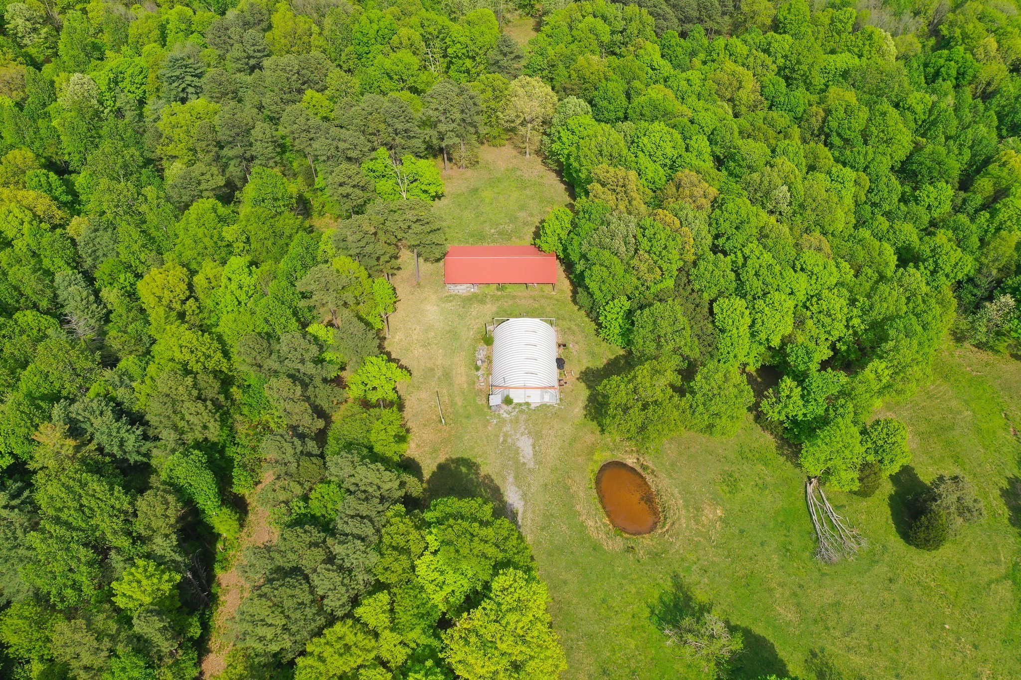 3915 Oak Ridge Road, Palmyra, TN 37142 — photo 2