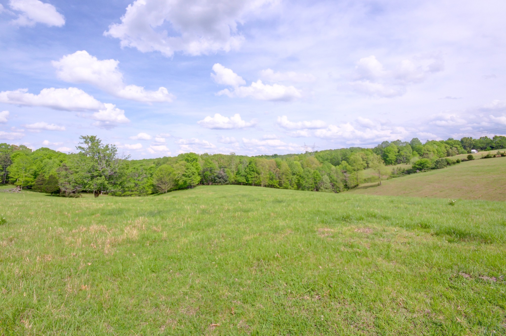 3915 Oak Ridge Road, Palmyra, TN 37142 — photo 3