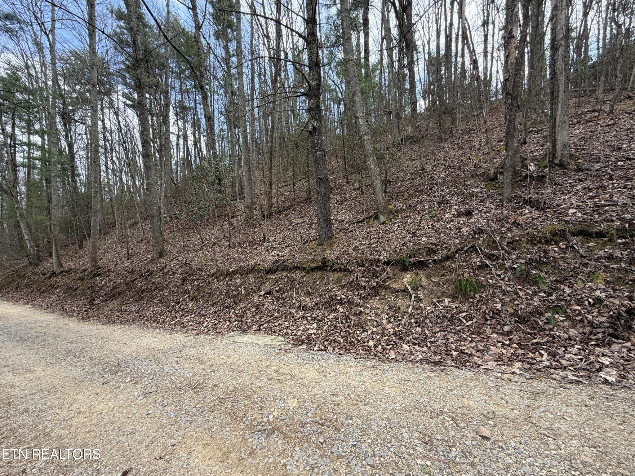 401 Reece Hollow Road, Del Rio, TN 37727