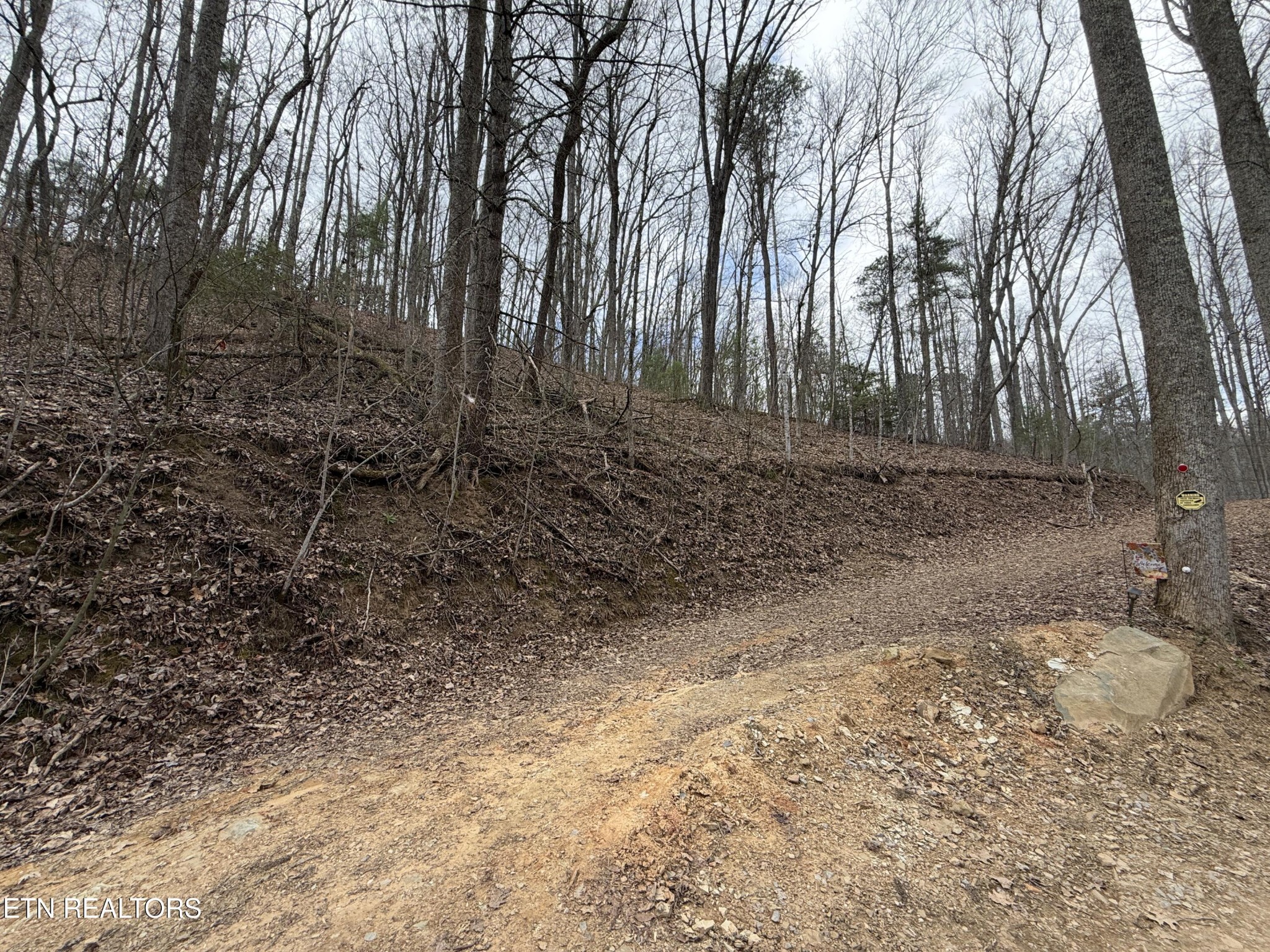 401 Reece Hollow Road, Del Rio, TN 37727 — photo 3