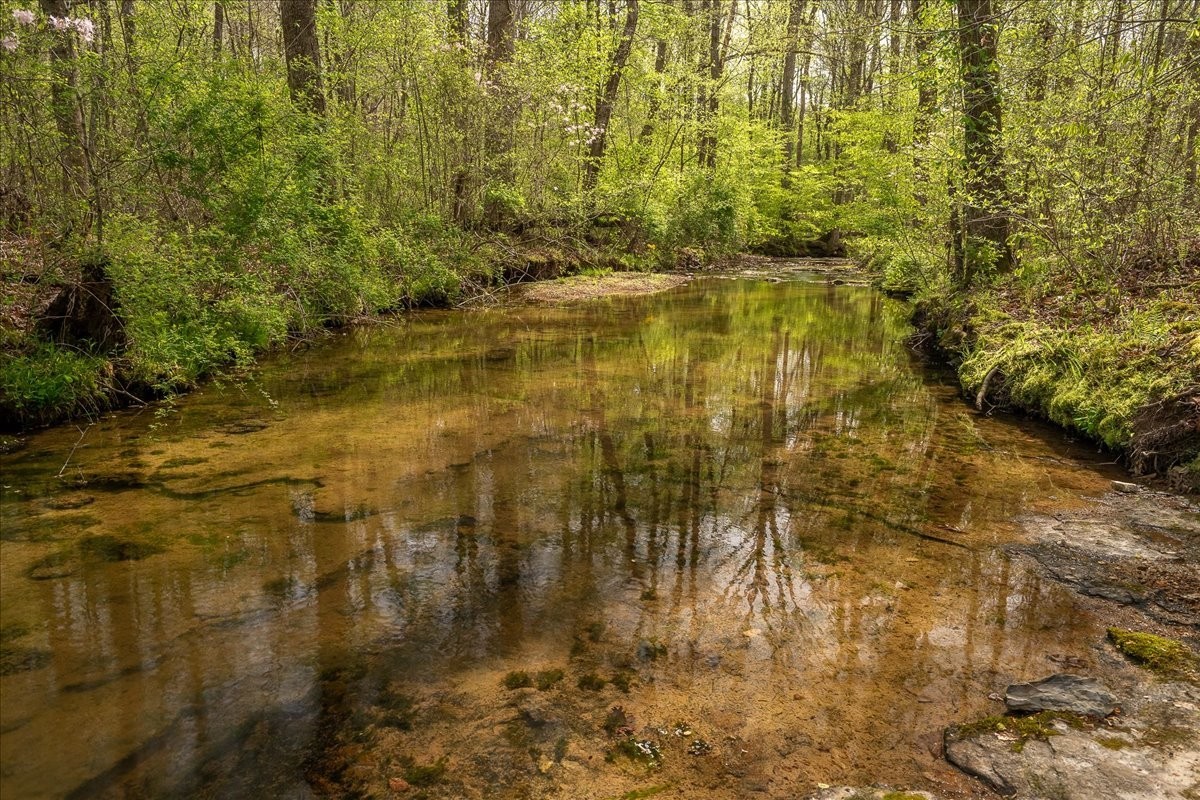 40 Rb Brown Road, Leoma, TN 38468 — photo 3