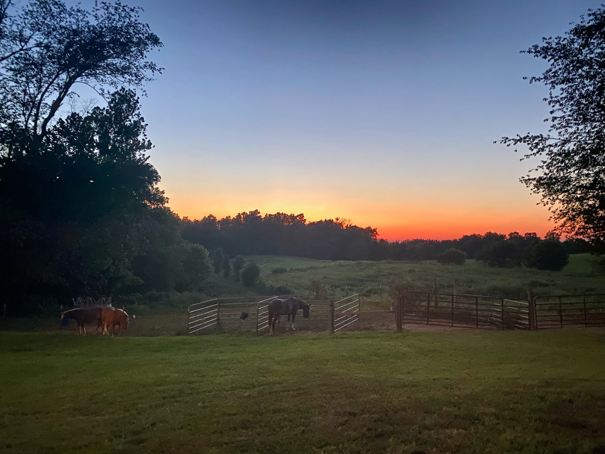 6180 Crawford Store Road, Springfield, TN 37172