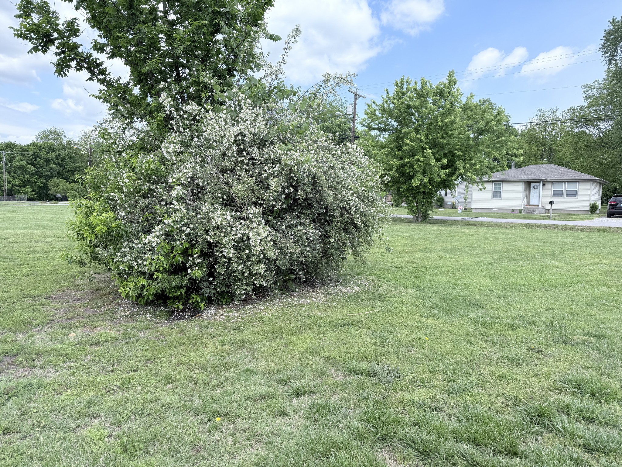 137 Dripping Springs St — photo