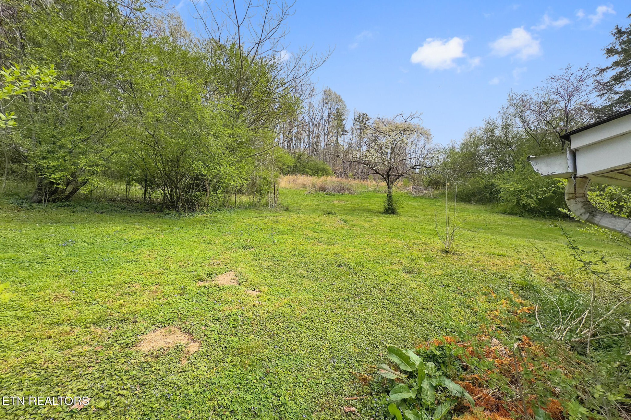 1447 Webster Road, Harriman, TN 37748
