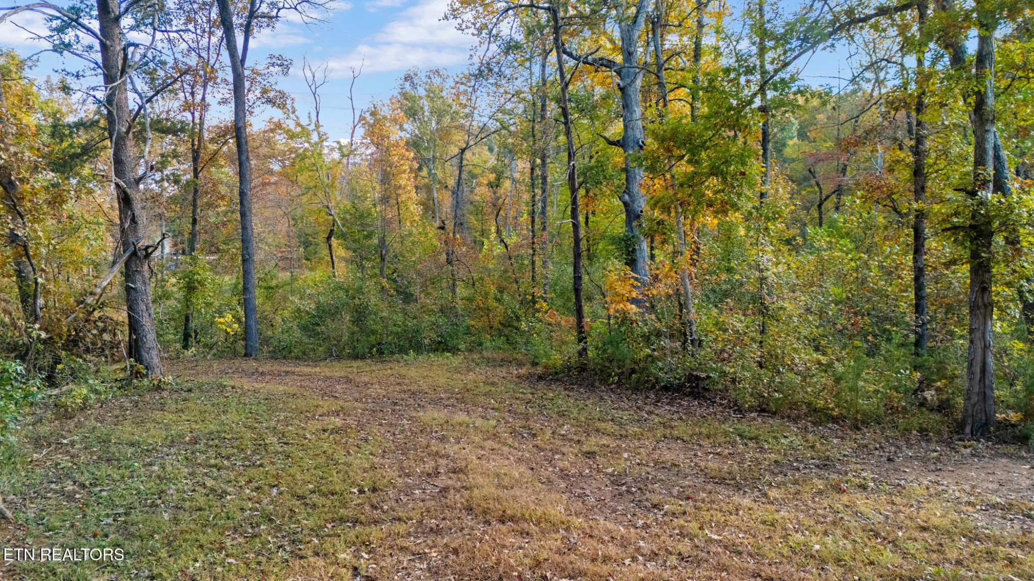 209 Ridge Road, Maryville, TN 37803 — photo 2
