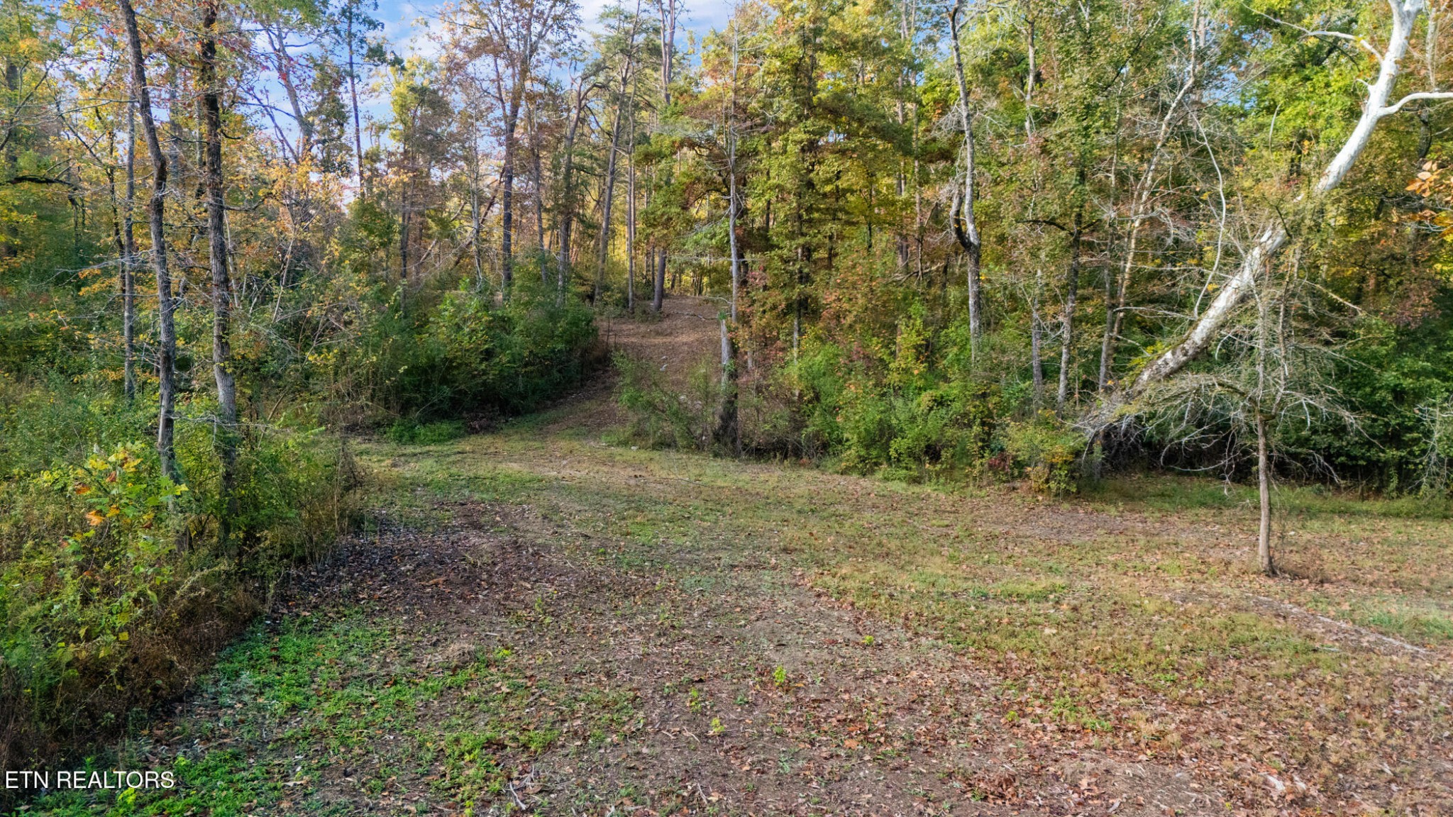 209 Ridge Road, Maryville, TN 37803 — photo 3