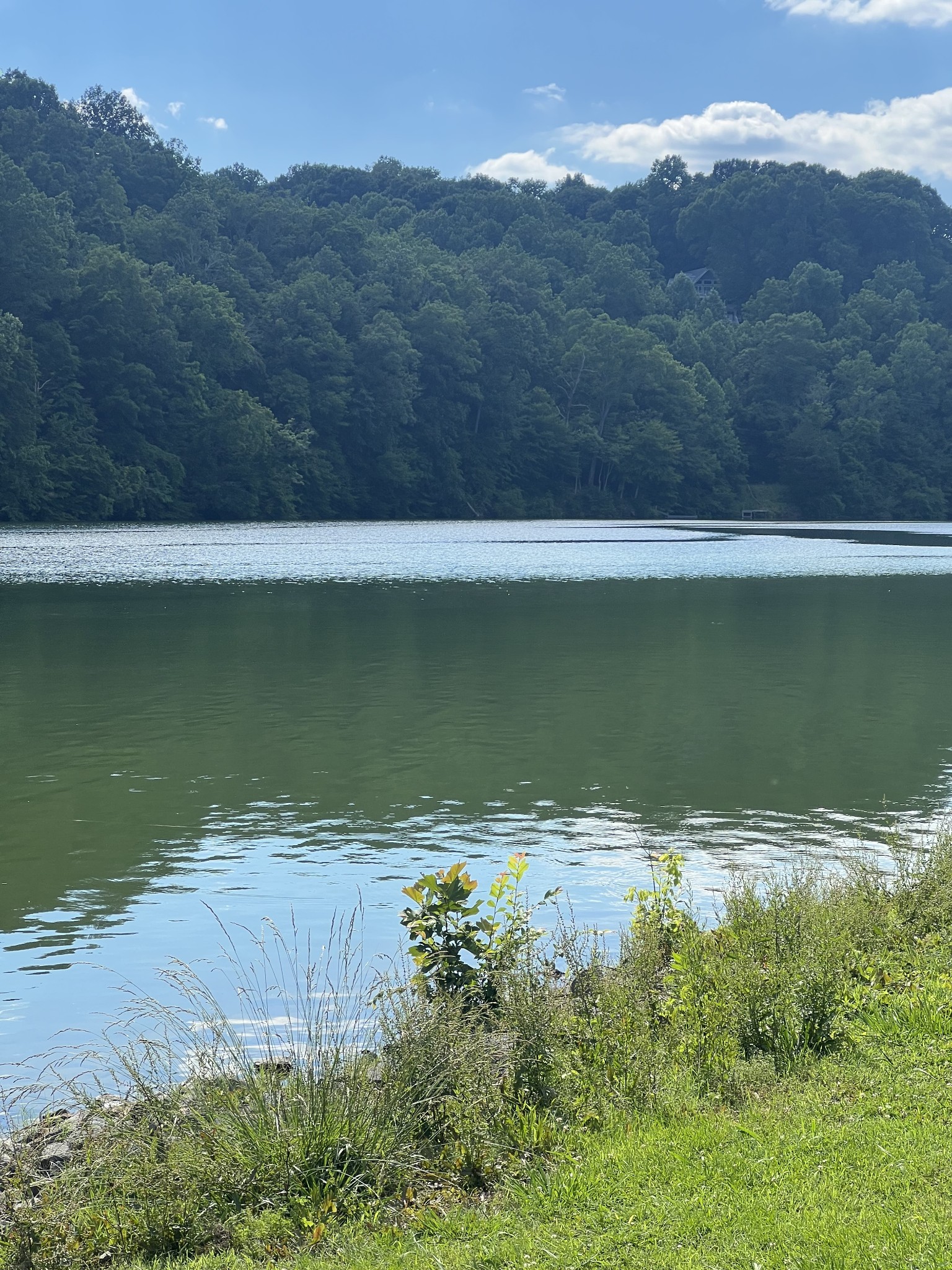 187 Rigsbys Rdg, Lynchburg, TN 37352 — photo 2