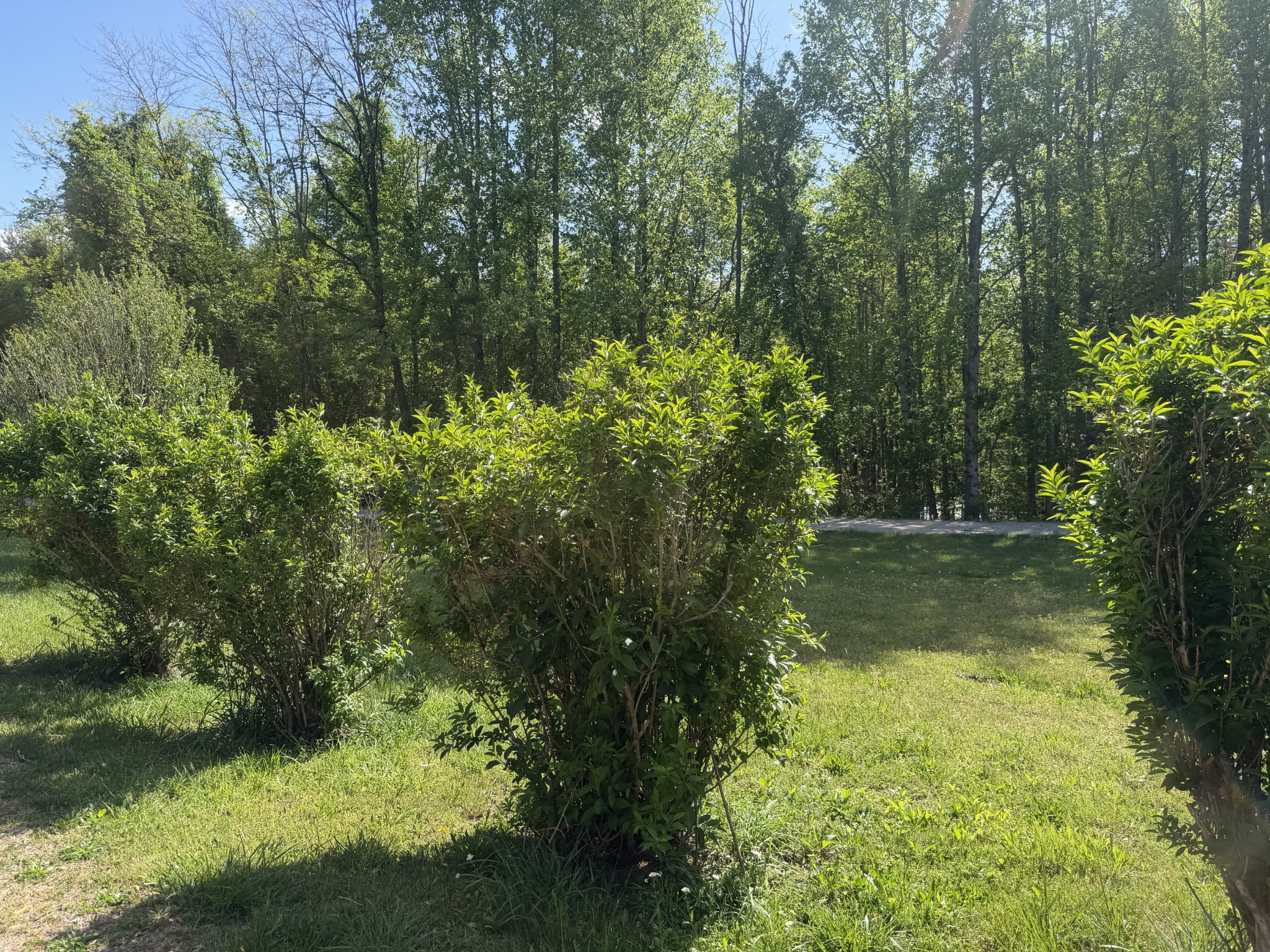 200 Rattlesnake Road, McMinnville, TN 37110 — photo 3