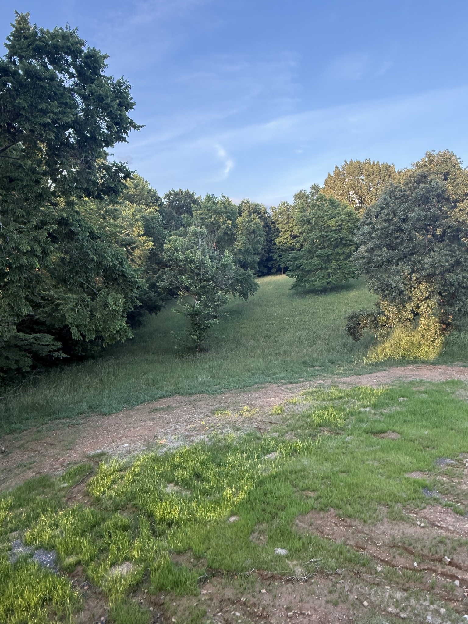 1615 Carthage Road, Red Boiling Springs, TN 37150 — photo 3