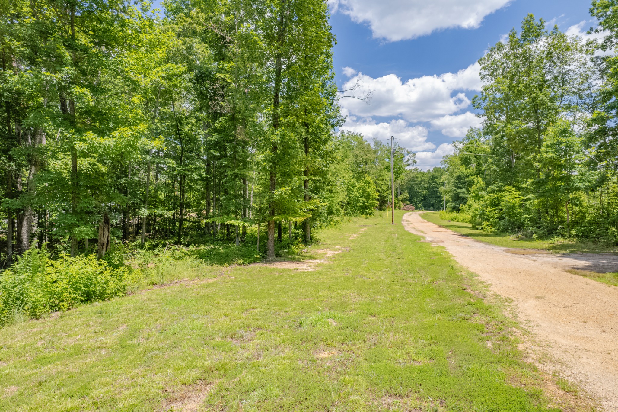 6126 Calvin Potts Road, Primm Springs, TN 38476 — photo 3