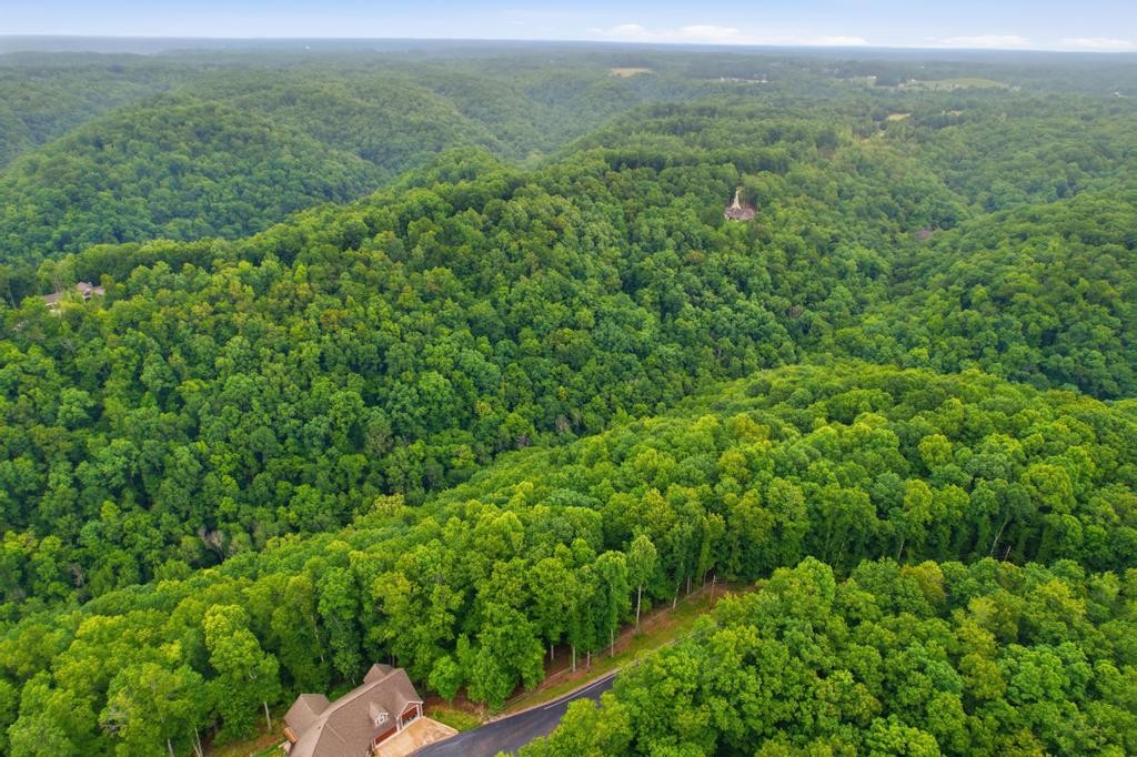 0 Serenity Ridge Road, Sparta, TN 38583
