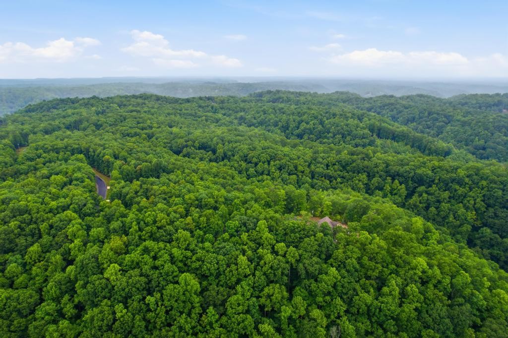 0 Serenity Ridge Road, Sparta, TN 38583 — photo 2