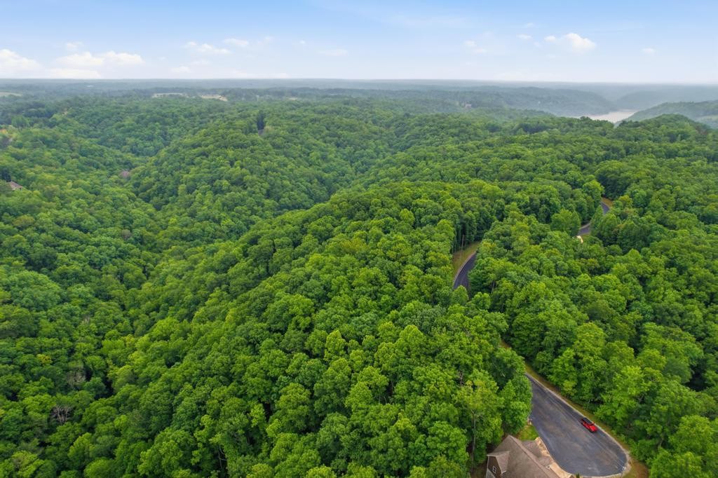 0 Serenity Ridge Road, Sparta, TN 38583 — photo 3