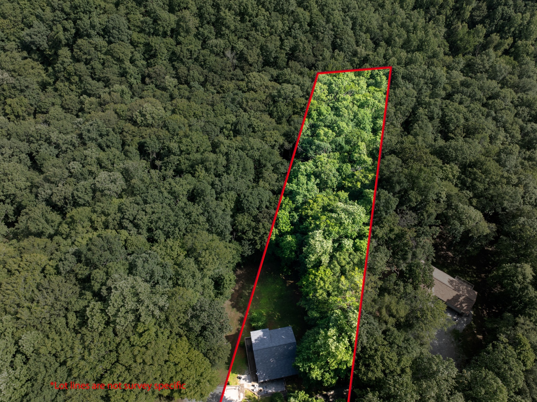 165 Kangaroo Ridge Road, Byrdstown, TN 38549 — photo 3