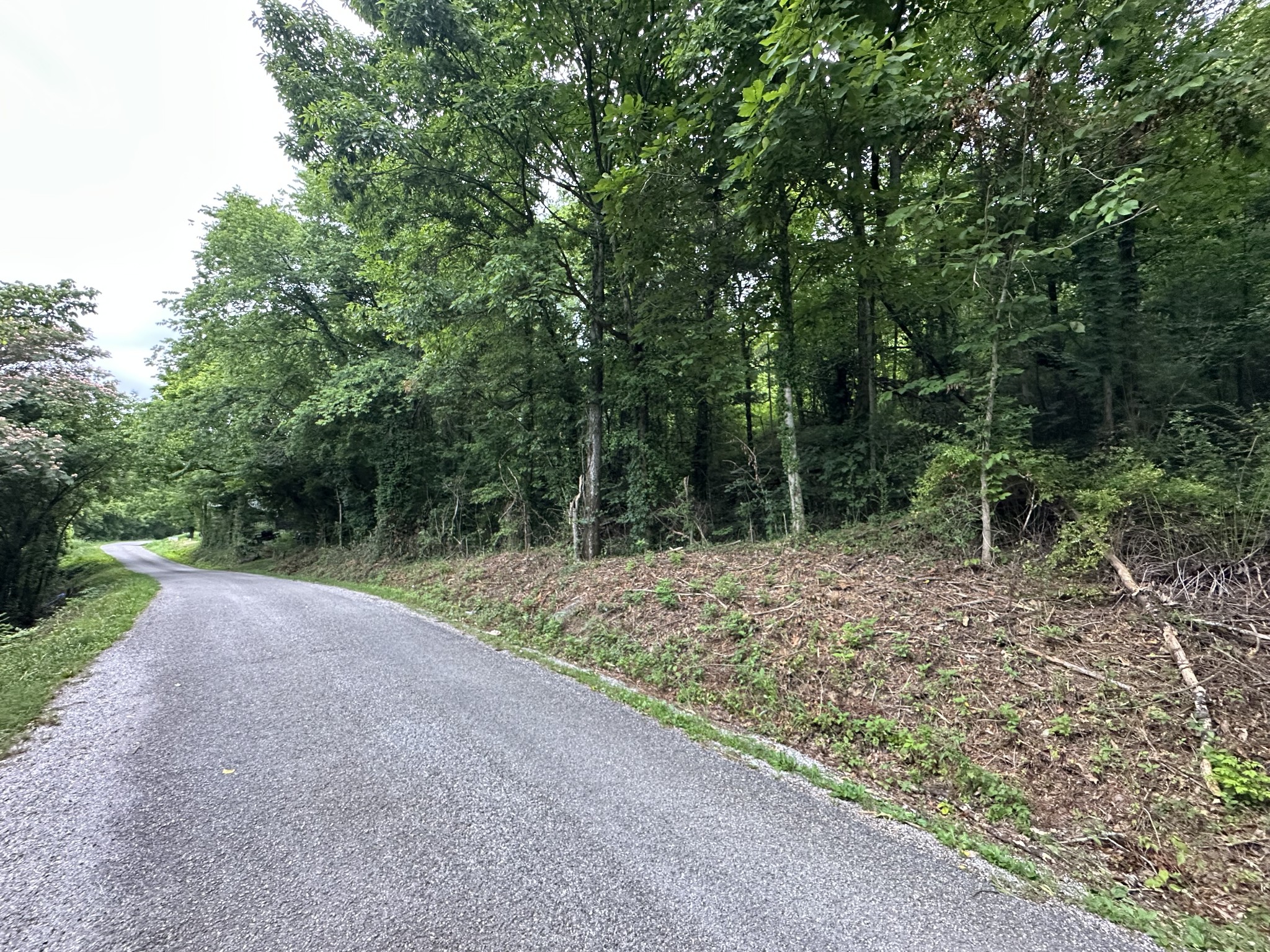 17 Hackett Valley Road, Hickman, TN 38567 — photo 3
