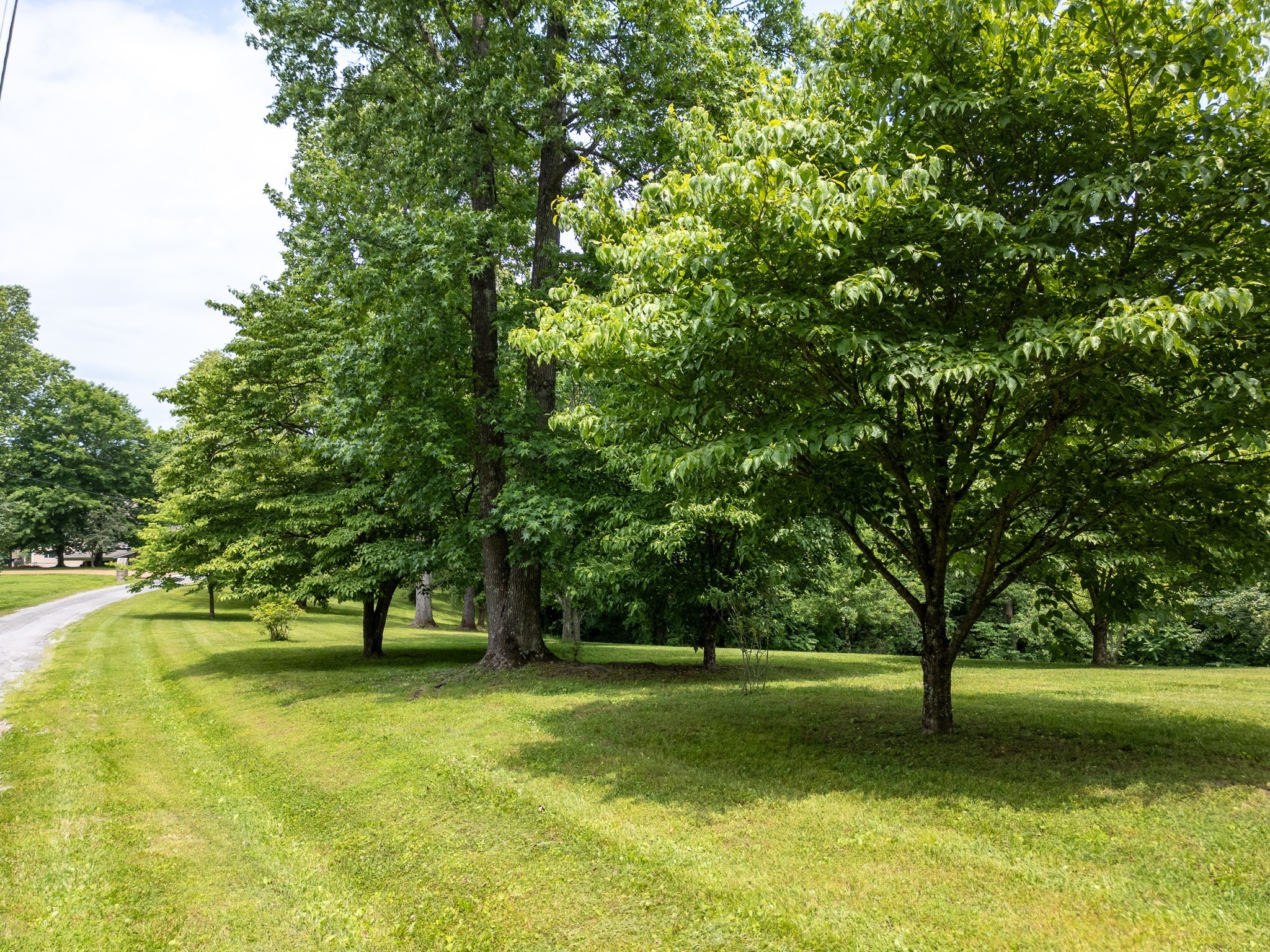 1 Lafever Ridge Road, Silver Point, TN 38582 — photo 3