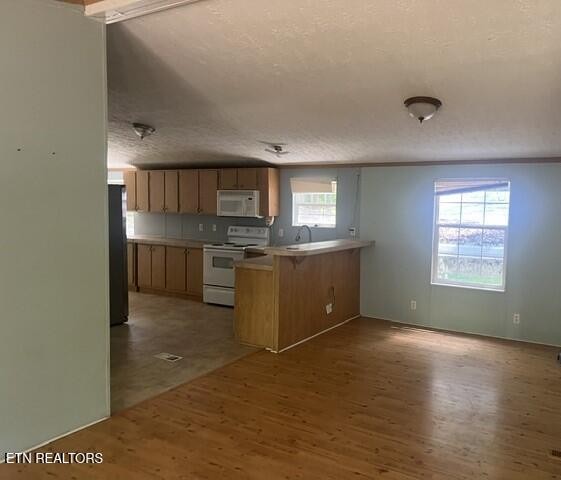 125 Ball, Rutledge, TN 37861 — photo 2