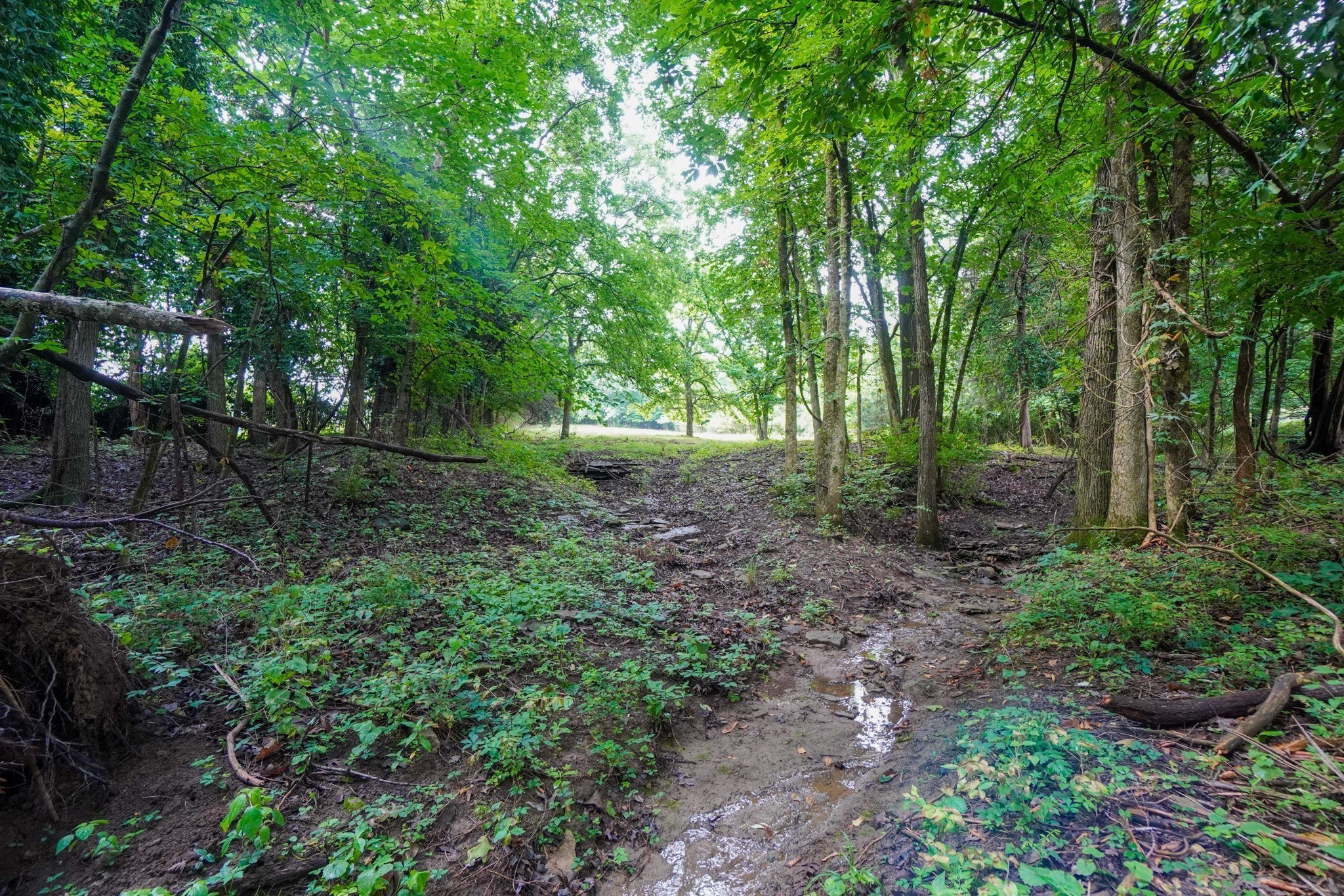 1094B Center Point Rd — photo