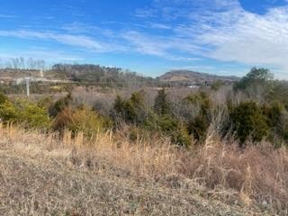 0 Winfield Dunn Pkwy Mount Rd Pa — photo