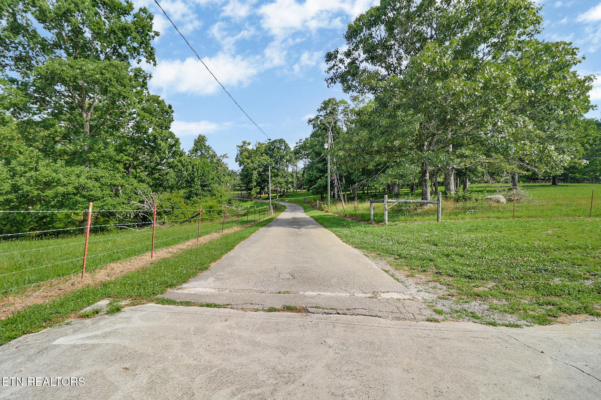1041 Walt Reed Road, Grandview, TN 37337 — photo 3