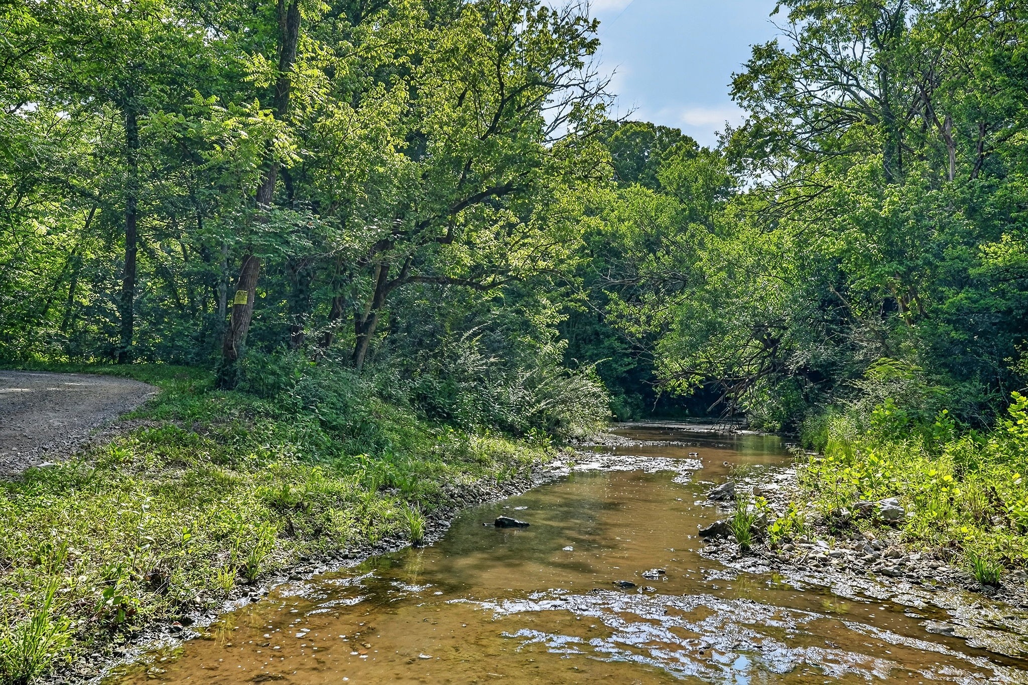 2926 Bryant Ridge Road, Baxter, TN 38544 — photo 3