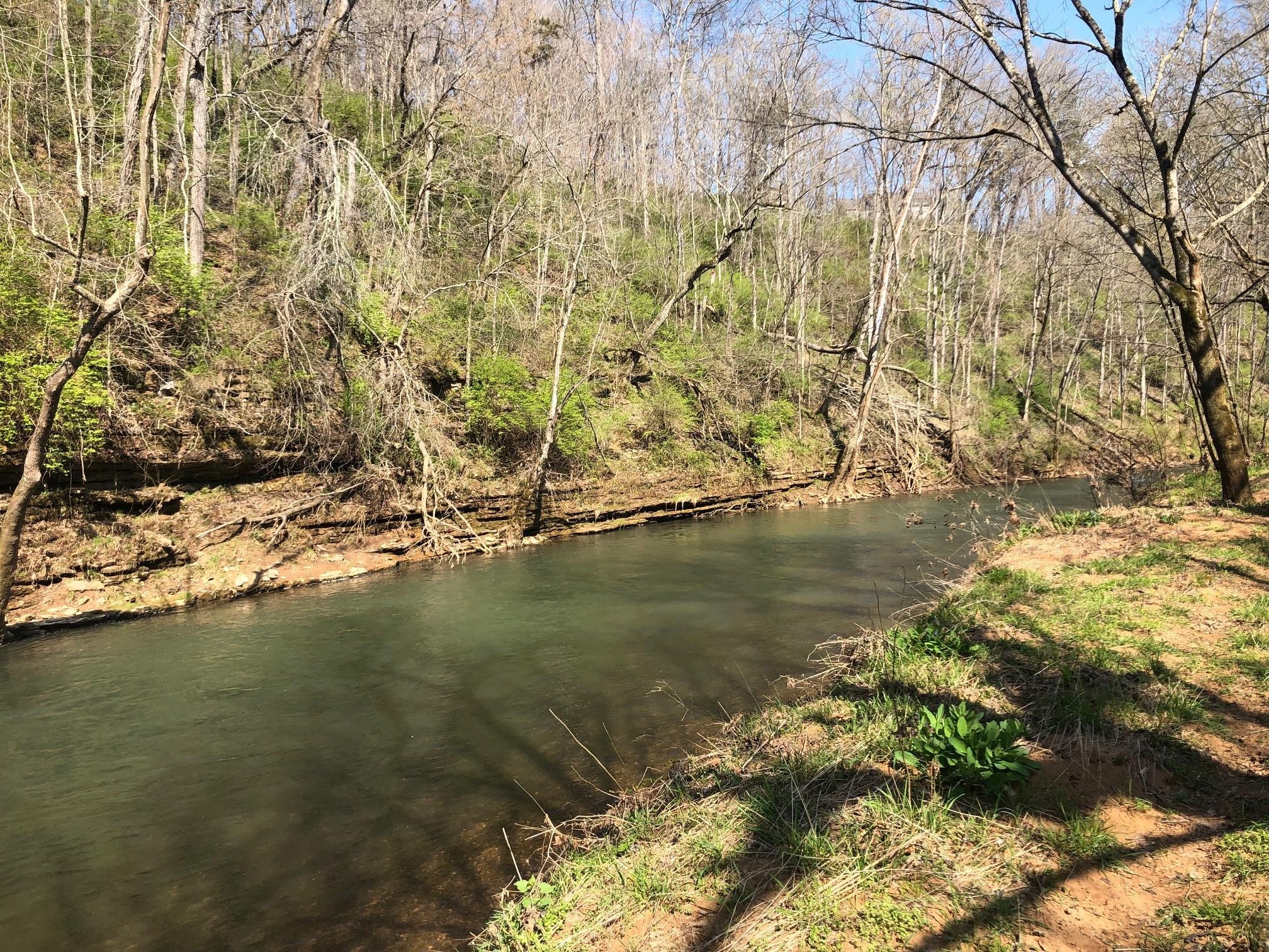 1725 Rains Road, Clarksville, TN 37042 — photo 2