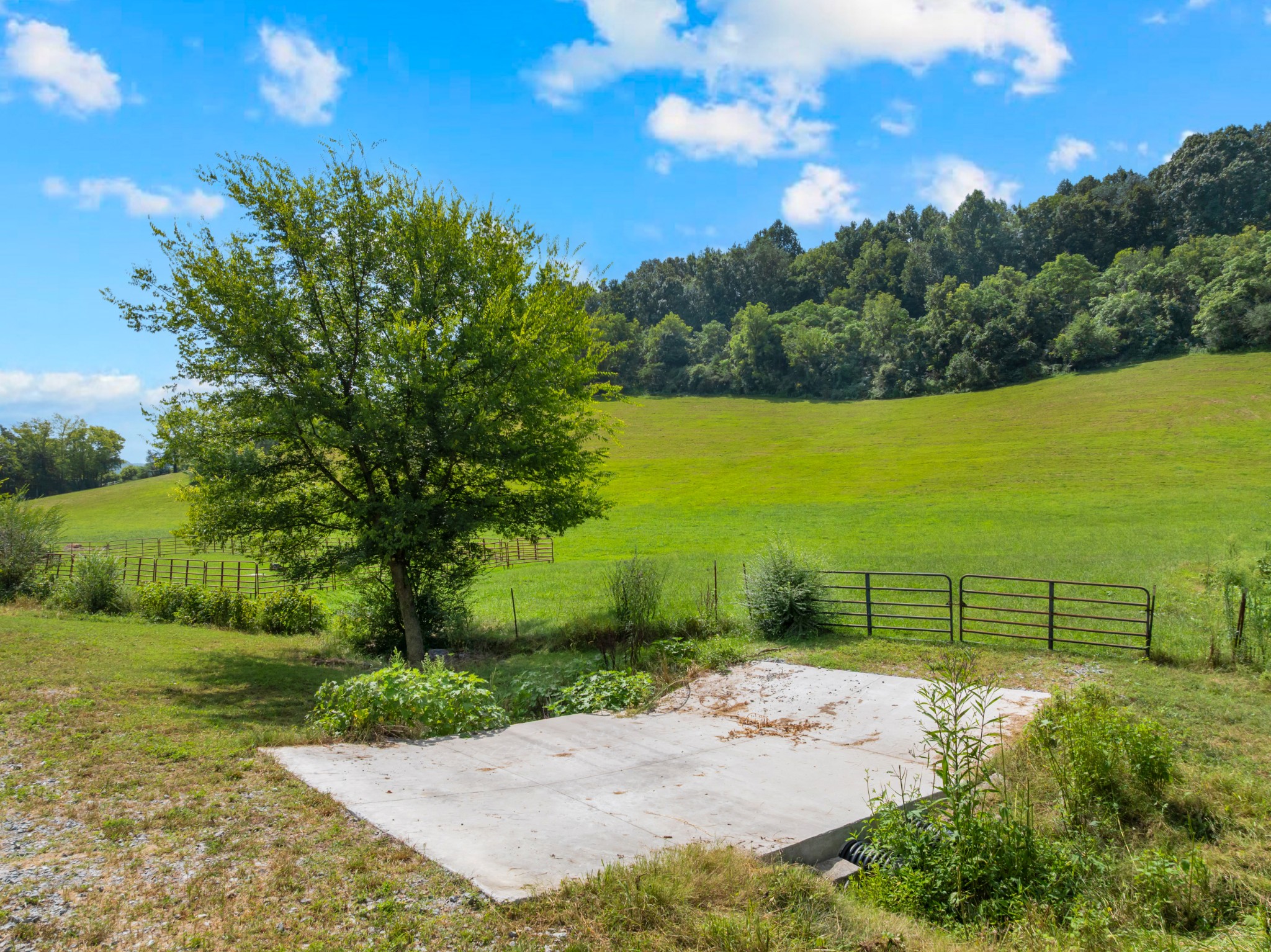 1220 Normandy Road, Normandy, TN 37360 — photo 3