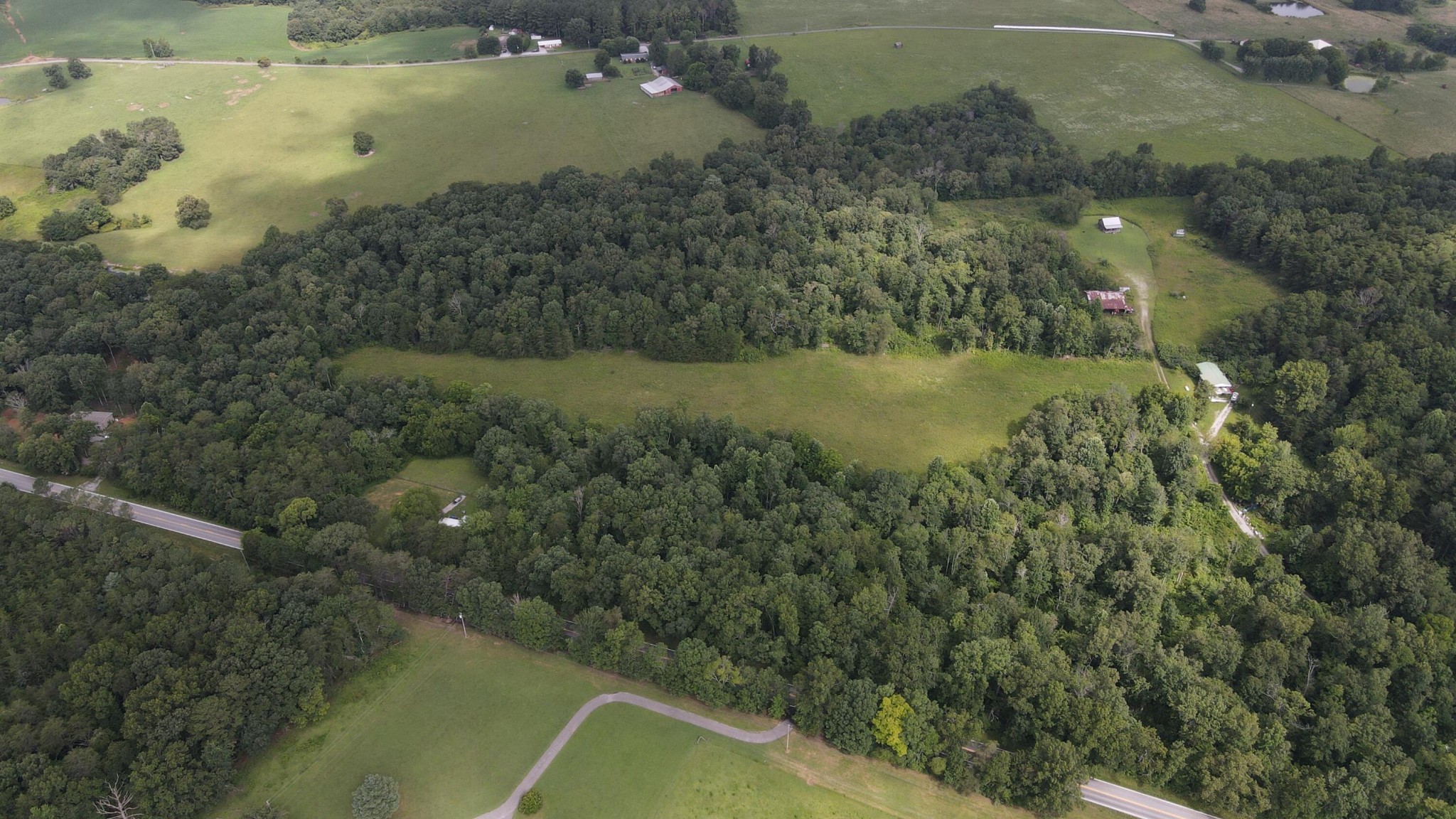 2571 Bellview Road, Pikeville, TN 37367 — photo 3