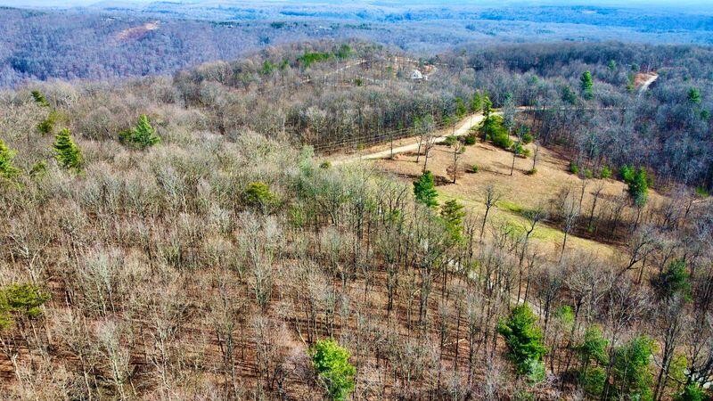654 Briley Road, Spring City, TN 37381