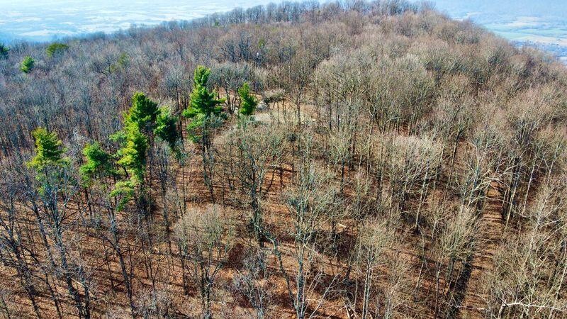 654 Briley Road, Spring City, TN 37381 — photo 3
