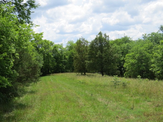 200 Hardy Road, Pulaski, TN 38478 — photo 3