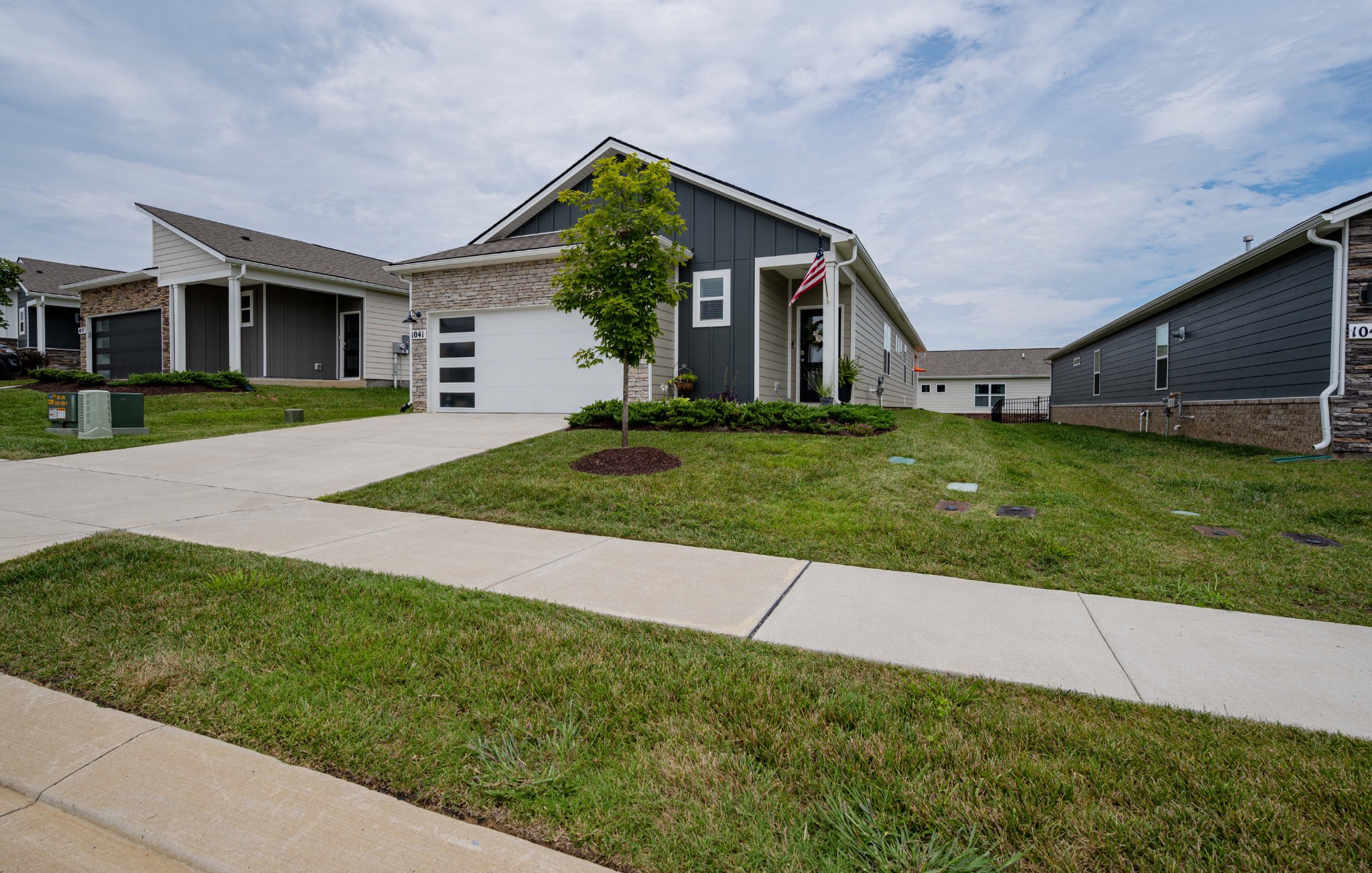 1041 Royal Gorge Pvt Ct — photo