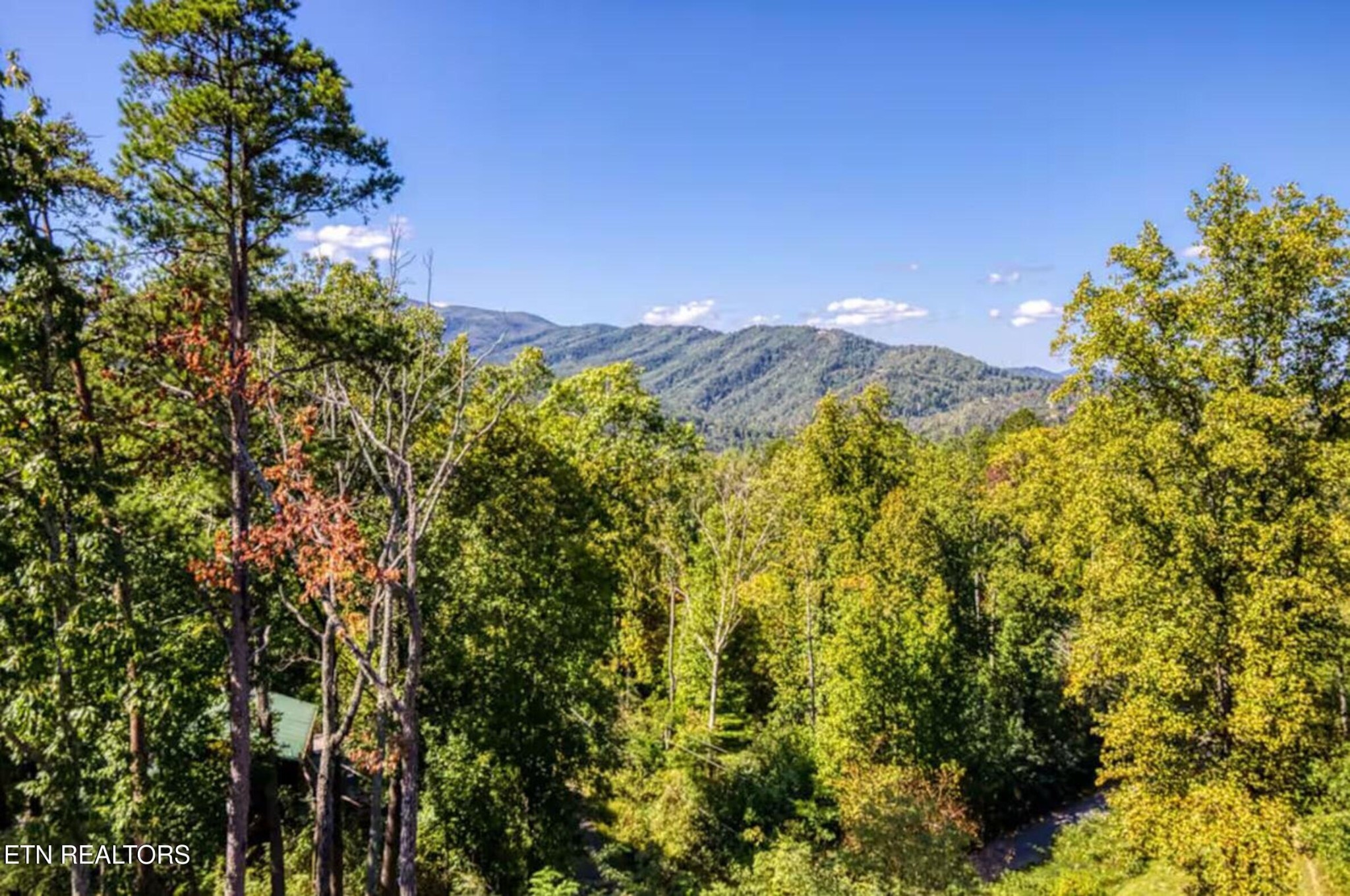 622 Timber Ridge Road, Gatlinburg, TN 37738 — photo 3