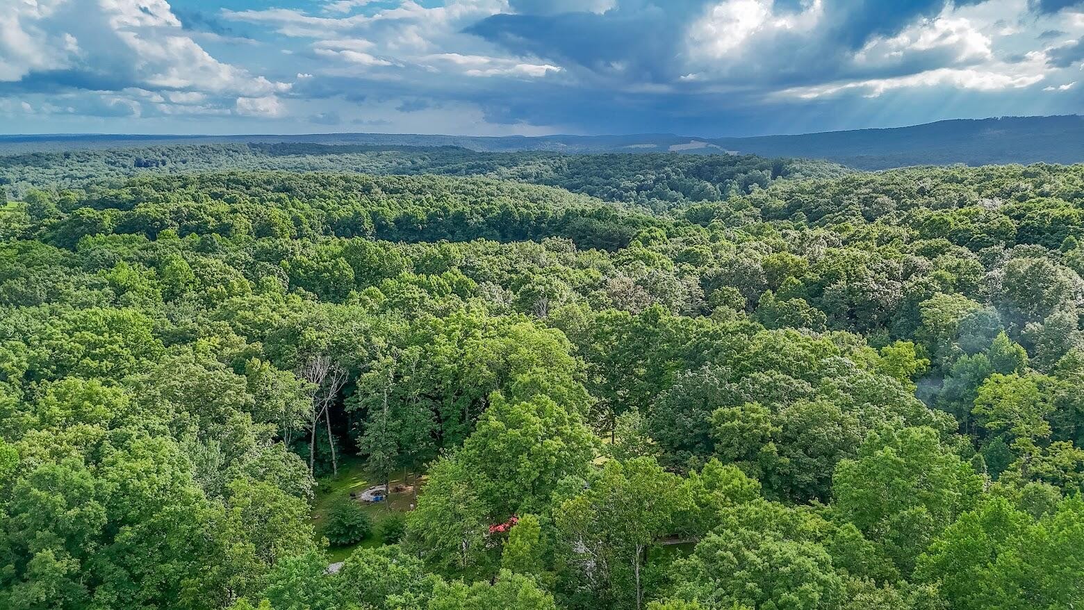 237 Chestnut Ridge Road, Spring City, TN 37381 — photo 3