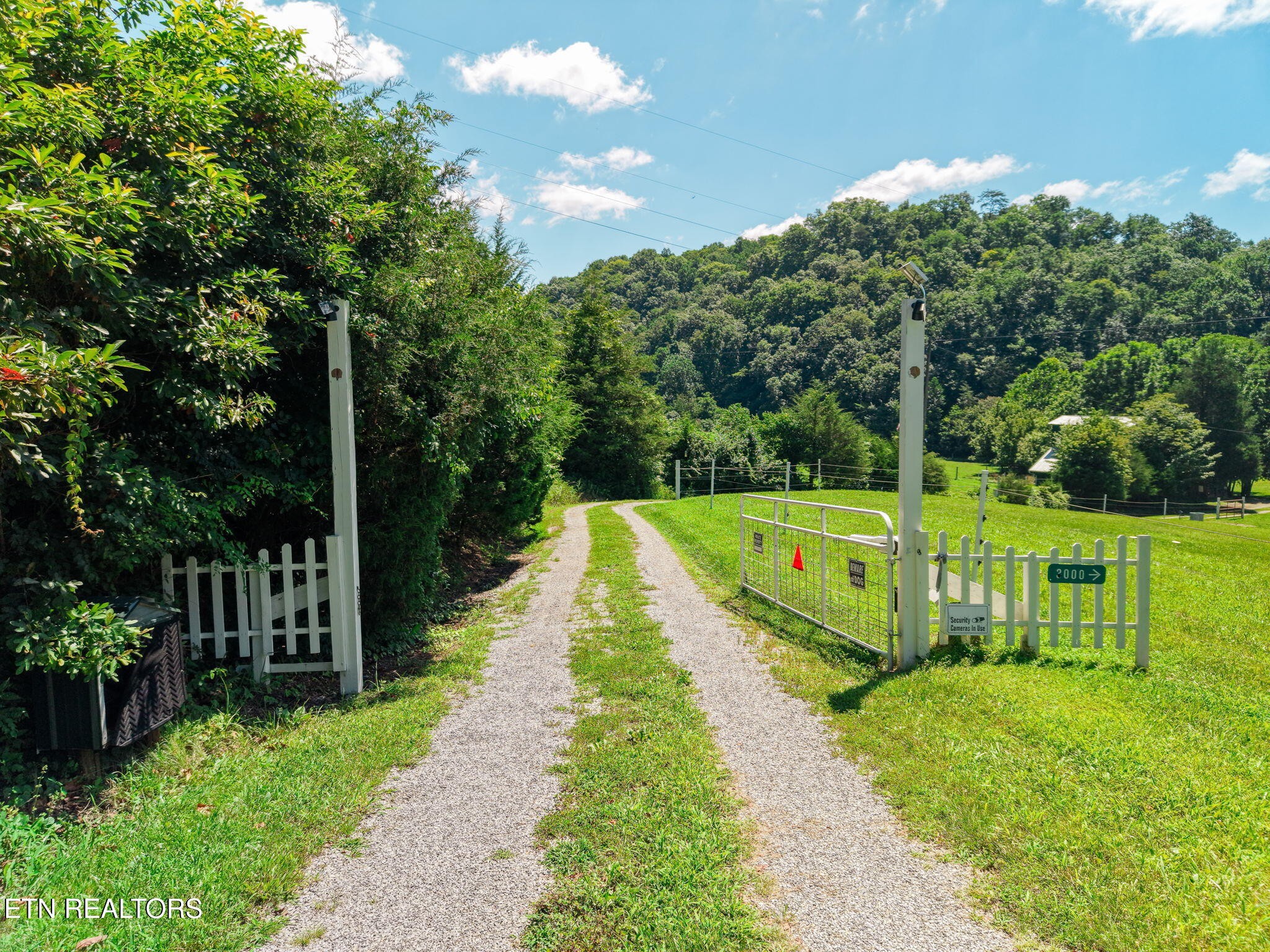 3000 Upper Caney Valley Road, Tazewell, TN 37879 — photo 3