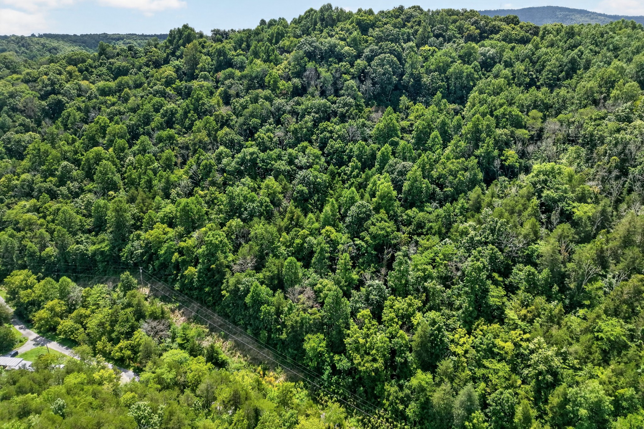 2949 Wilmouth Creek Rd — photo