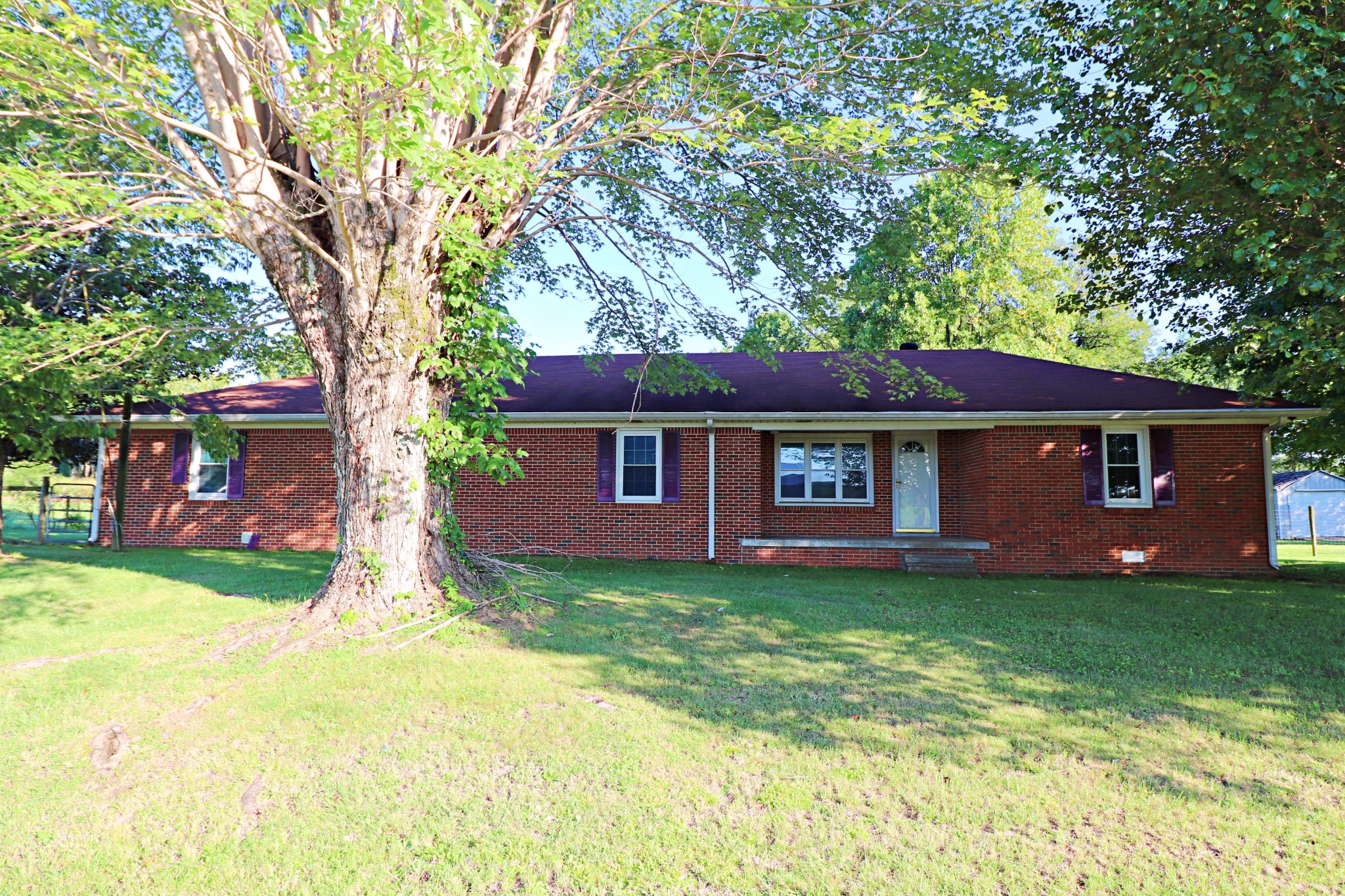 6254 Carthage Road, Pleasant Shade, TN 37145 — photo 3