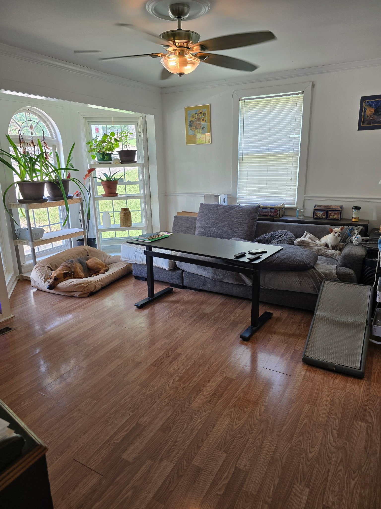 527 E Grigsby Street E, Pulaski, TN 38478 — photo 3