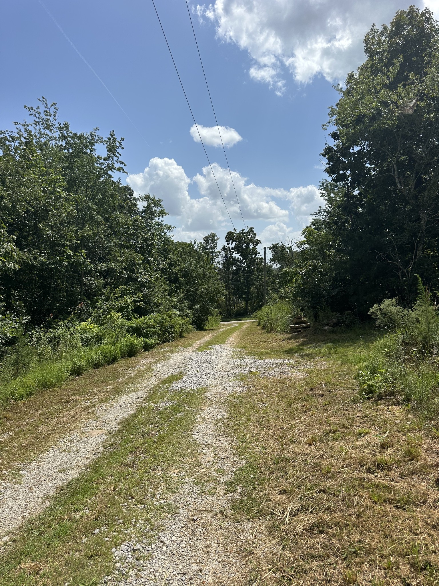 258 Jack Plank Road, Spring City, TN 37381 — photo 3